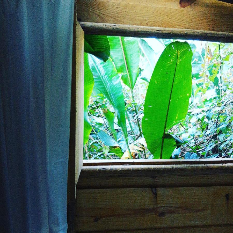 Casa Ranxoxita Hotell Itaipava Eksteriør bilde