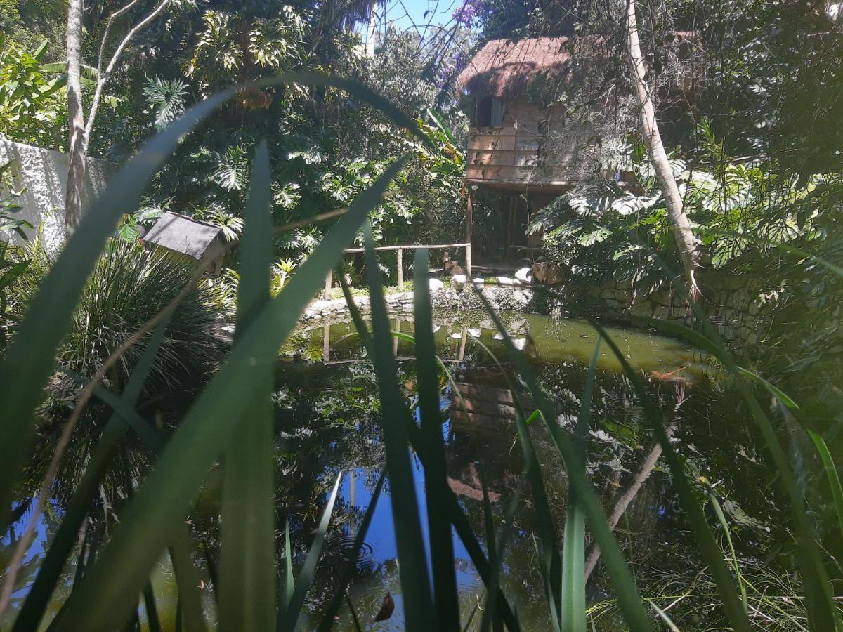 Casa Ranxoxita Hotell Itaipava Eksteriør bilde